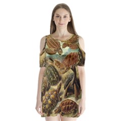 Turtles Leatherback Sea Turtle Shoulder Cutout Velvet One Piece by Pakjumat