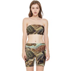 Turtles Leatherback Sea Turtle Stretch Shorts And Tube Top Set by Pakjumat