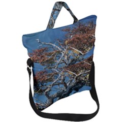 Botanical Wonders Of Argentina  Fold Over Handle Tote Bag