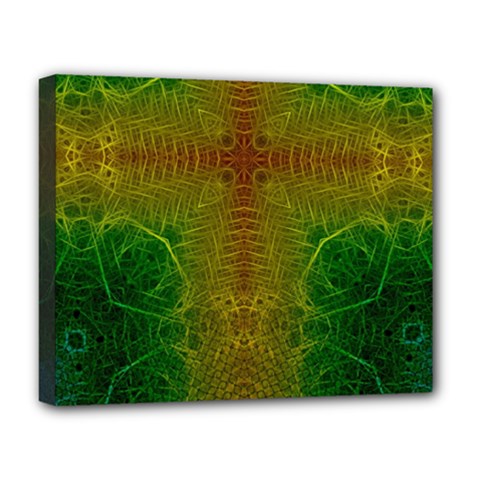 Psychedelic Screen Trippy Deluxe Canvas 20  X 16  (stretched) by Modalart