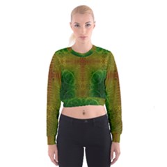 Psychedelic Screen Trippy Cropped Sweatshirt