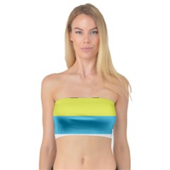 Bigender Flag Copy Bandeau Top by Dutashop