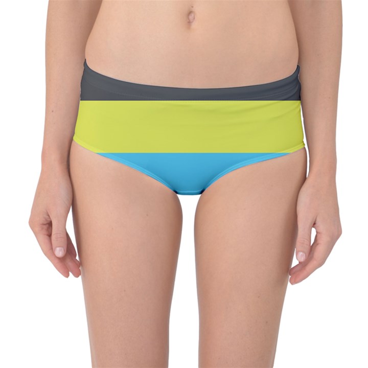 Bigender Flag Copy Mid-Waist Bikini Bottoms