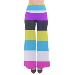 Bigender Flag Copy So Vintage Palazzo Pants by Dutashop