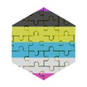 Bigender Flag Copy Wooden Puzzle Hexagon View1