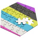 Bigender Flag Copy Wooden Puzzle Hexagon View2