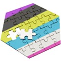 Bigender Flag Copy Wooden Puzzle Hexagon View3