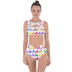 Colorful Horse Background Wallpaper Bandaged Up Bikini Set  by Amaryn4rt