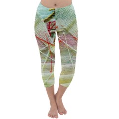 Dscf3247 Capri Winter Leggings 