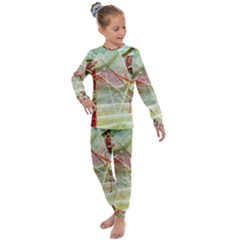 Dscf3247 Kids  Long Sleeve Set 