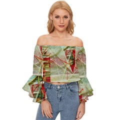 Dscf3247 Off Shoulder Flutter Bell Sleeve Top