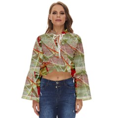 Dscf3247 Boho Long Bell Sleeve Top