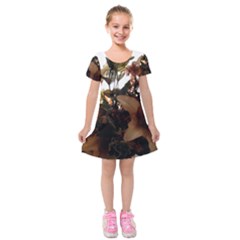 Lilies-1-1 Kids  Short Sleeve Velvet Dress