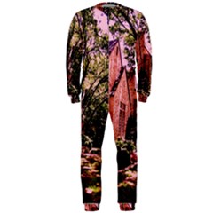 Hot Day In  Dallas-6 Onepiece Jumpsuit (men)