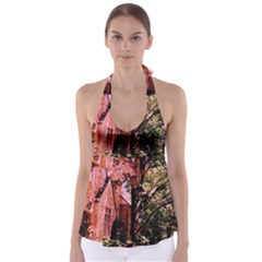 Hot Day In  Dallas-6 Tie Back Tankini Top by bestdesignintheworld