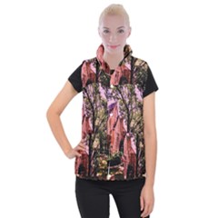 Hot Day In  Dallas-6 Women s Button Up Vest