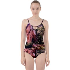 Hot Day In  Dallas-6 Cut Out Top Tankini Set by bestdesignintheworld