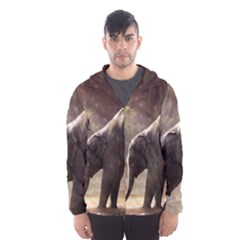 Baby Elephant Watering Hole Men s Hooded Windbreaker by Sarkoni