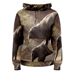 Baby Elephant Watering Hole Women s Pullover Hoodie by Sarkoni