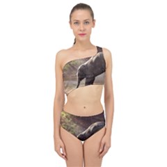 Baby Elephant Watering Hole Spliced Up Two Piece Swimsuit by Sarkoni