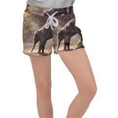 Baby Elephant Watering Hole Women s Velour Lounge Shorts by Sarkoni