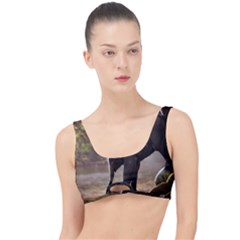 Baby Elephant Watering Hole The Little Details Bikini Top by Sarkoni