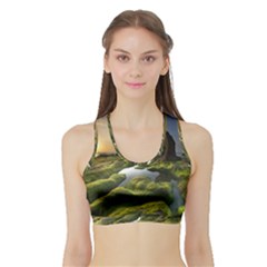 Coast Algae Sea Beach Shore Sports Bra With Border by Sarkoni