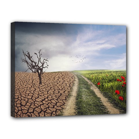 Climate Landscape Canvas 14  X 11  (stretched) by Sarkoni