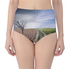 Climate Landscape Classic High-waist Bikini Bottoms by Sarkoni