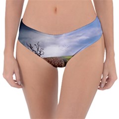 Climate Landscape Reversible Classic Bikini Bottoms by Sarkoni