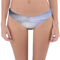 Climate Landscape Reversible Hipster Bikini Bottoms by Sarkoni