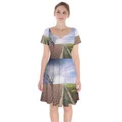 Climate Landscape Short Sleeve Bardot Dress by Sarkoni