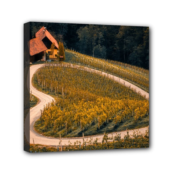 Vineyard Agriculture Farm Autumn Mini Canvas 6  x 6  (Stretched)