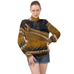 Vineyard Agriculture Farm Autumn High Neck Long Sleeve Chiffon Top by Sarkoni