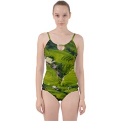 Apartment Curve Path Step Cut Out Top Tankini Set by Sarkoni