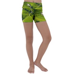 Apartment Curve Path Step Kids  Lightweight Velour Yoga Shorts by Sarkoni