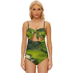 Apartment Curve Path Step Knot Front One-piece Swimsuit by Sarkoni