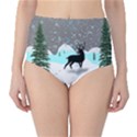 Rocky Mountain High Colorado Classic High-Waist Bikini Bottoms View1