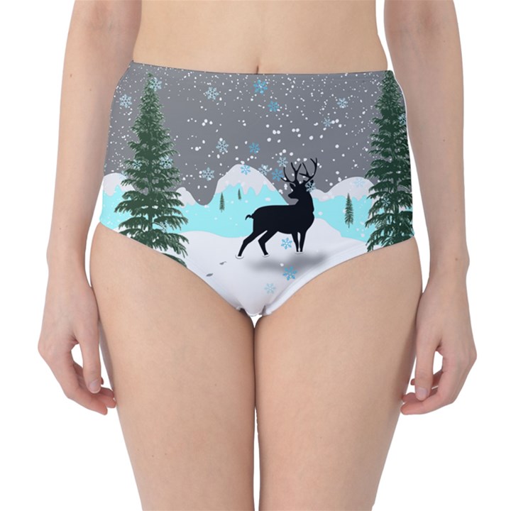 Rocky Mountain High Colorado Classic High-Waist Bikini Bottoms