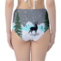 Rocky Mountain High Colorado Classic High-Waist Bikini Bottoms View2