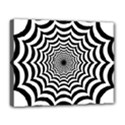 Spider Web Hypnotic Deluxe Canvas 20  x 16  (Stretched) View1