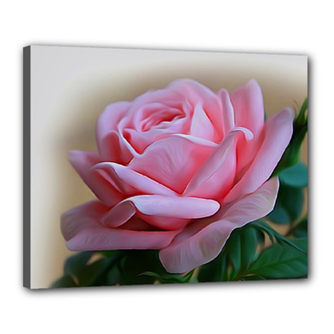 Rose Pink Flowers Pink Saturday Canvas 20  X 16  (stretched) by Amaryn4rt