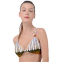 Birch Trees Fall Autumn Leaves Knot Up Bikini Top View1