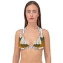 Birch Trees Fall Autumn Leaves Double Strap Halter Bikini Top View1