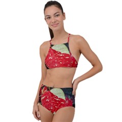 Poinsettia Christmas Star Plant Halter Tankini Set by Sarkoni