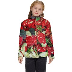 Poinsettia Christmas Star Plant Kids  Puffer Bubble Jacket Coat by Sarkoni