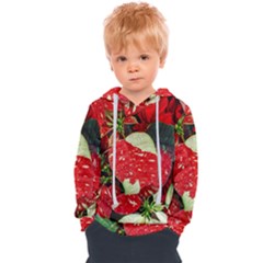 Poinsettia Christmas Star Plant Kids  Overhead Hoodie by Sarkoni