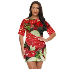 Poinsettia Christmas Star Plant Just Threw It On Dress