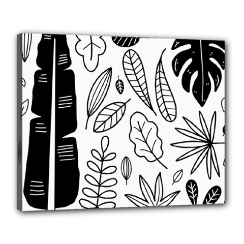 Leaves Plants Doodle Drawing Canvas 20  X 16  (stretched) by Sarkoni