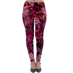 Red Leaves Plant Nature Leaves Lightweight Velour Leggings by Sarkoni